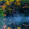 朝霧　紅葉の池