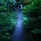 細道