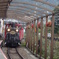 トロッコ列車