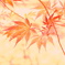 紅葉絵巻