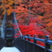 紅の吊り橋