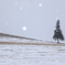 霜月の雪景色