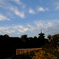 池上本門寺の空