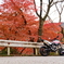 足柄峠3