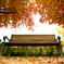 ☆The Bench