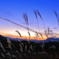 高原での夕暮れ