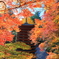 秋盛り～談山神社～