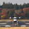 紅葉とDornier228