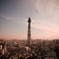 2010-06-03 SKYTREE