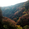 箕面の山