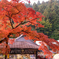 大窪寺