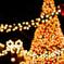 TDL Christmas　ツリー