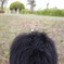 花びら１枚