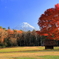 青空、秋富士、秋もみじ