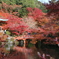 醍醐寺