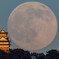 Gigantic full moon