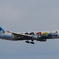 IMGP7243