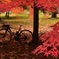 自転車