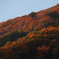 紅葉の山