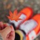 紅葉とおそろい
