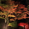 紅葉と赤橋