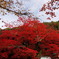 定光寺