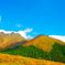大山の紅葉