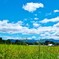 田舎の風景
