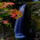 高野大滝
