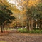 水元公園 (2)