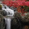 西山公園にて