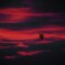 夕焼け蜘蛛