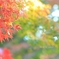 Season in pastel colours