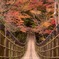 花貫渓谷