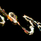群れ