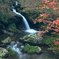 鳴瀑　～るり渓の秋～