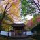 カラフル寺