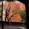 天祖神社の紅葉