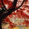 紅の熟女