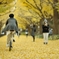 autumn for tokyoites