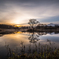Daybreak