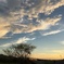 夕暮れどき。