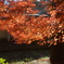 DSC02600