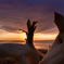 -Driftwood-