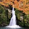 観音滝の紅葉