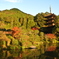 早朝の瑠璃光寺