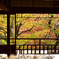 瑠璃光院