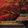 烈火