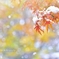 雪もみじ
