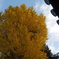 P1120474